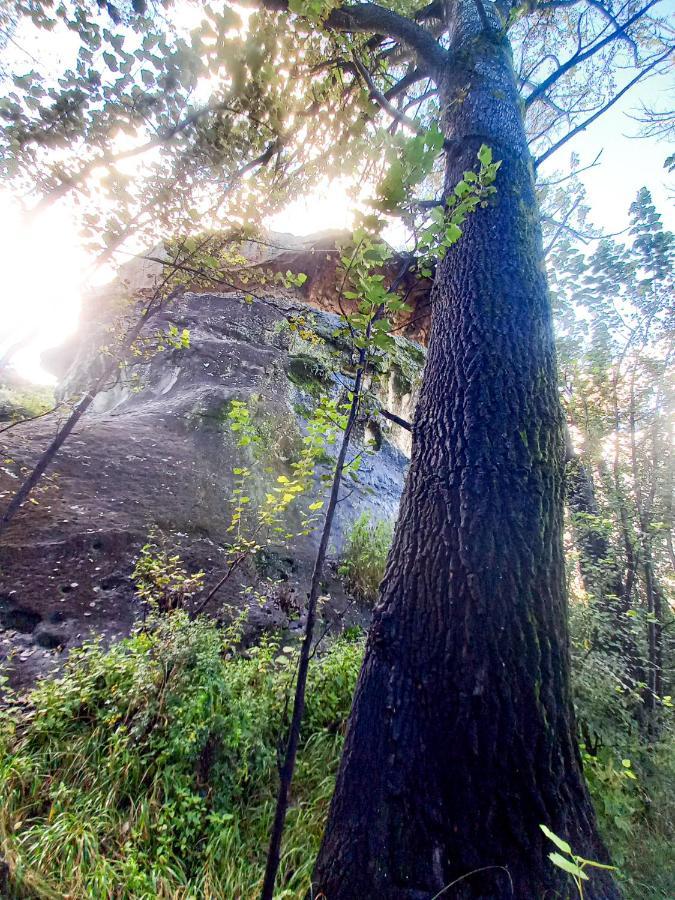 كلارينس Forest Lane المظهر الخارجي الصورة