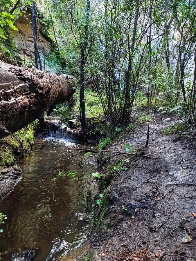 كلارينس Forest Lane المظهر الخارجي الصورة