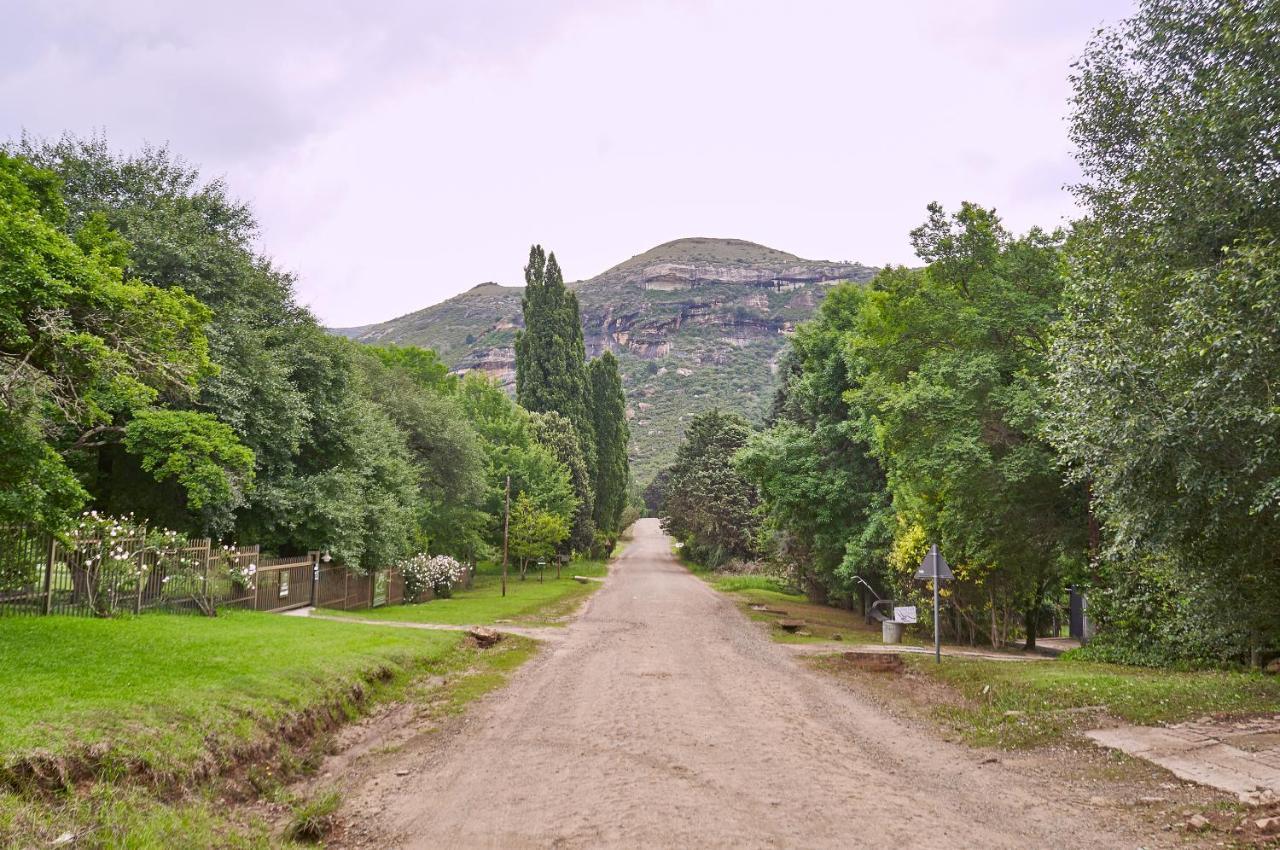 كلارينس Forest Lane المظهر الخارجي الصورة