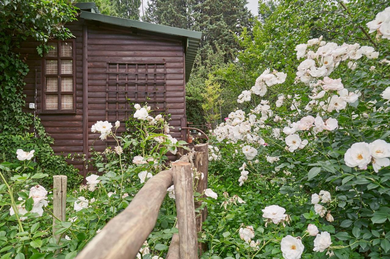 كلارينس Forest Lane المظهر الخارجي الصورة